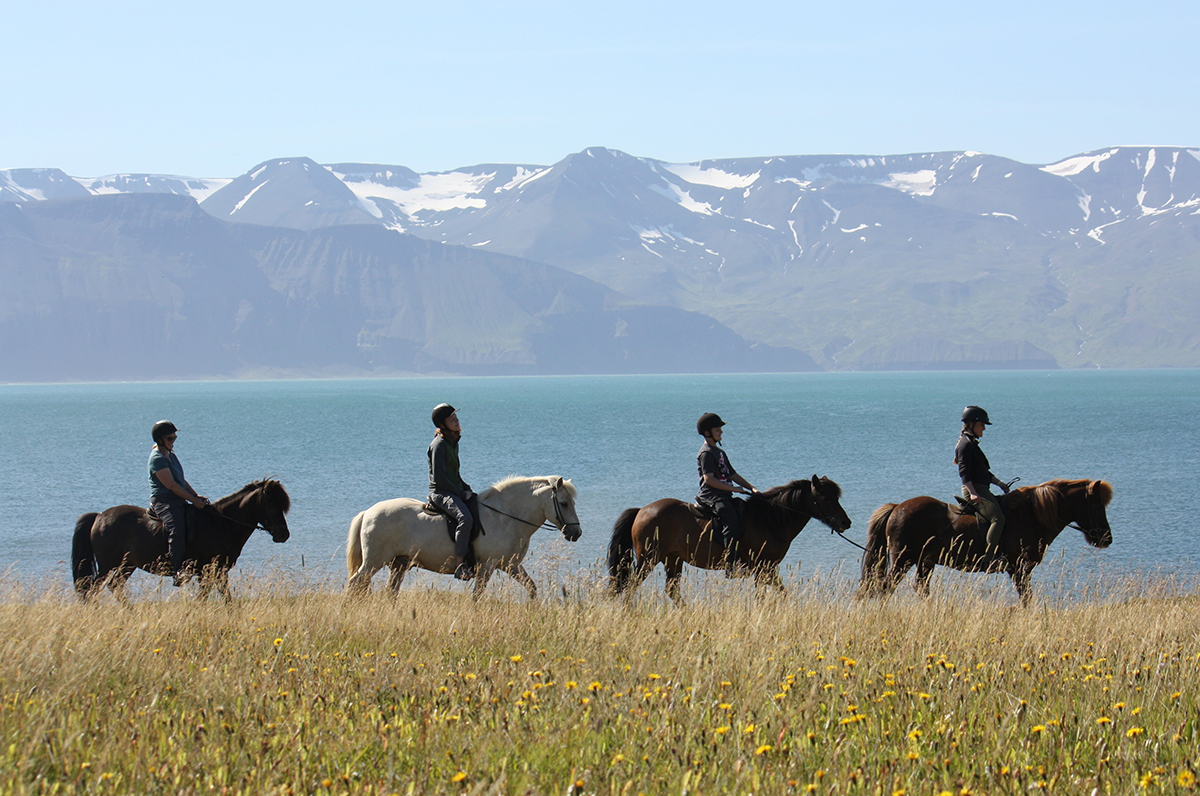 Saltvik Horse Riding